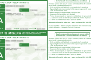 junta-de-andalucia-licencia-de-caza